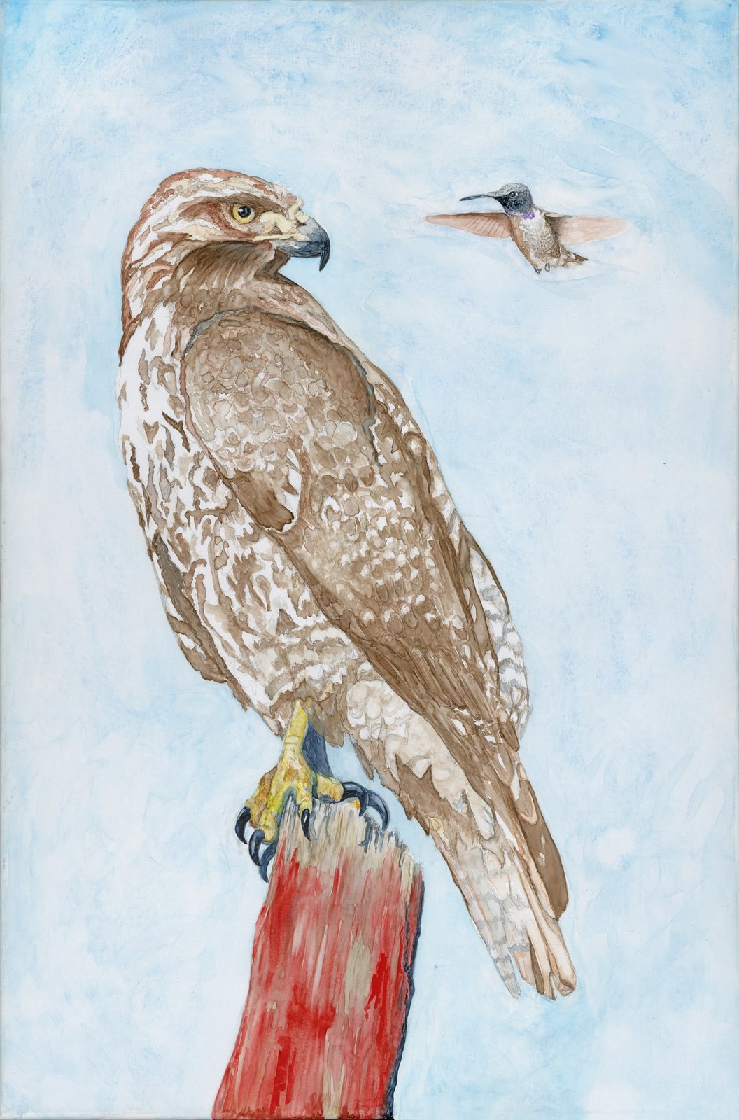 Watercolor of a large brown hawk perched on a red post, facing a tiny hovering hummingbird at eye level, against a pale blue sky