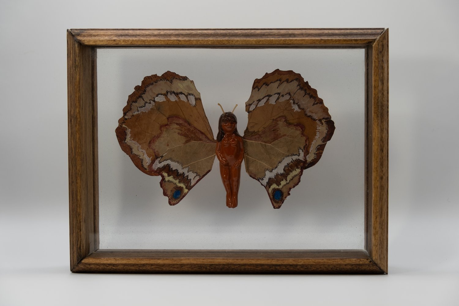 Framed shadowbox specimen of a small terracotta fairy figure with antennae, mounted like a butterfly with wings made of pressed cottonwood leaves painted in butterfly markings