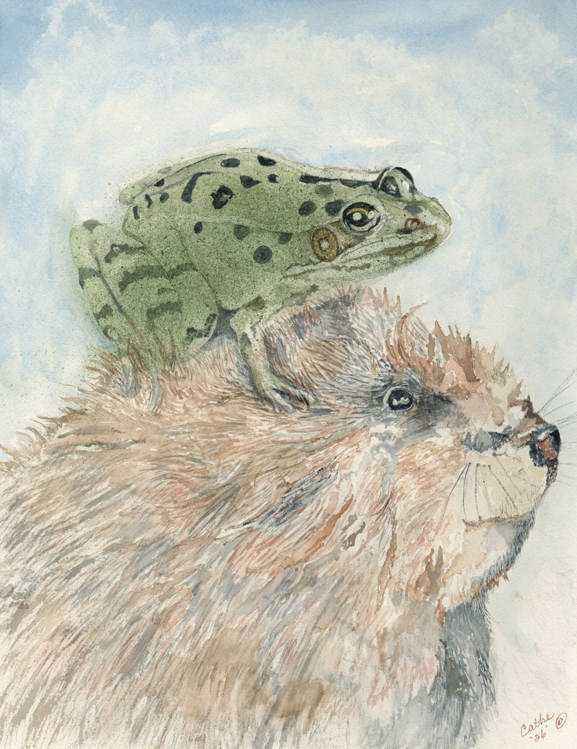 Watercolor of a spotted green frog perched on the head of a furry, whiskered animal against a soft blue sky